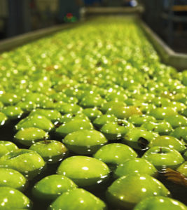 Davison's Heritage - Jam and Fruit Fillings UK